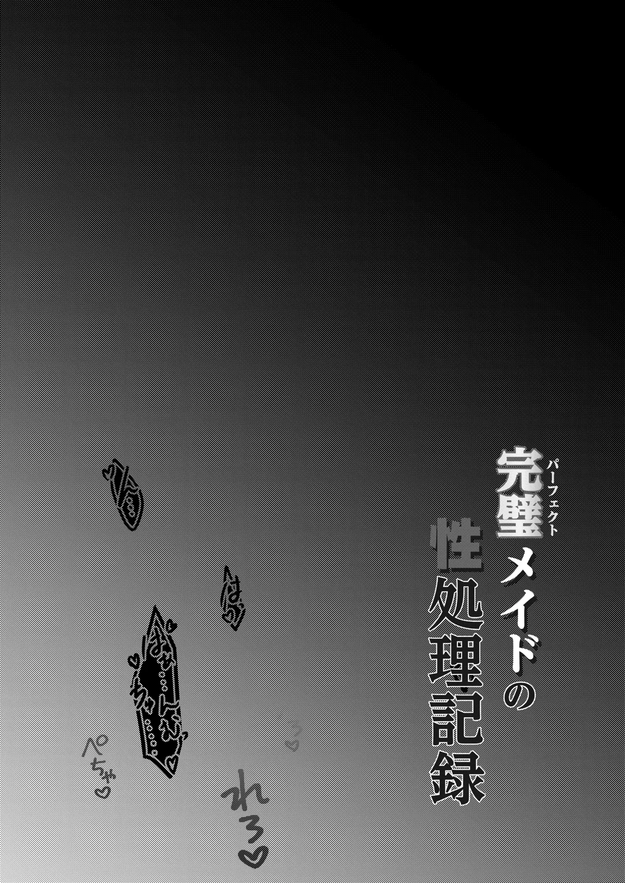 完璧メイドの性処理記録 page 2 full