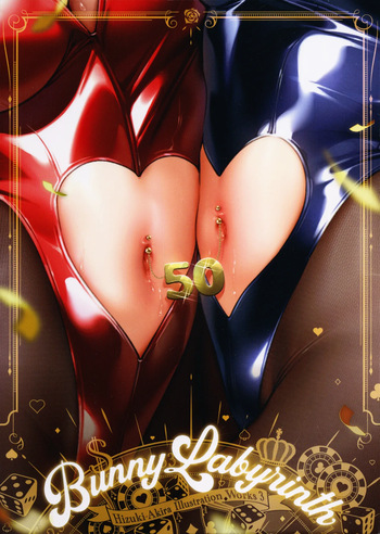 Bunny Labyrinth Hizuki-Akira illustration Works3 cover