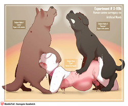nimbletail Surrogate Sandwich