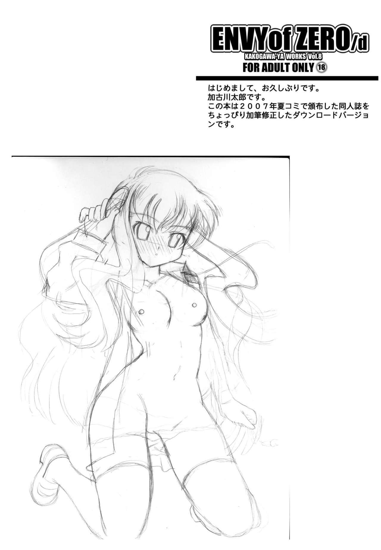 Zero no Tsukaima - ENVY of ZERO page 4 full