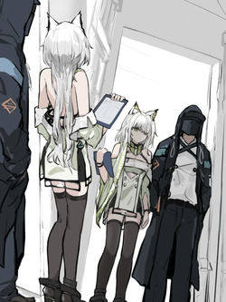 White palette Plss