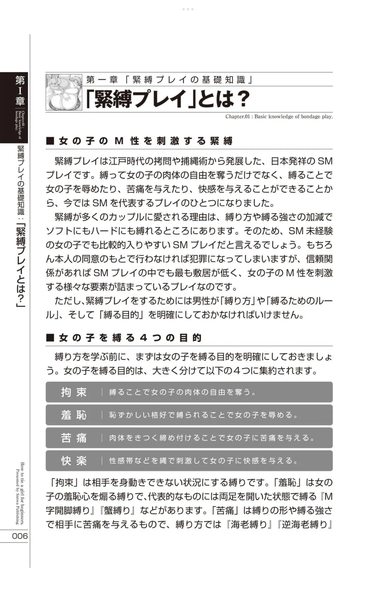 Do It Right Now! Illustrated Bondage Techniques Manual – Light Maniac Text Series page 7 full