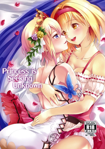 Princess is Seeking Unknown cover