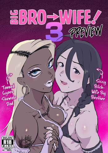 Ani→Yome! 3 cover