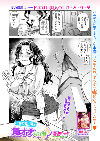 いぢわる上司は角オナ大好き♪ cover