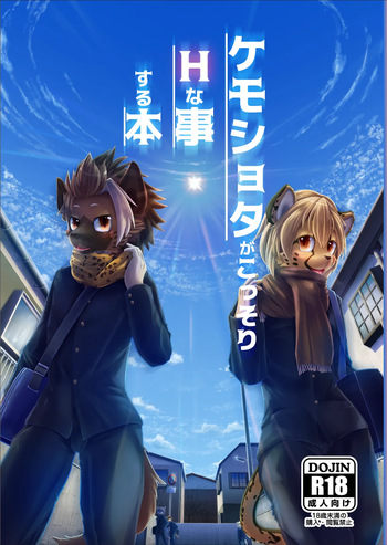 Kemoket 7 cover