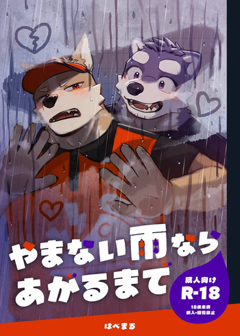 If the rain won't stop, I'll wait until it clears up cover