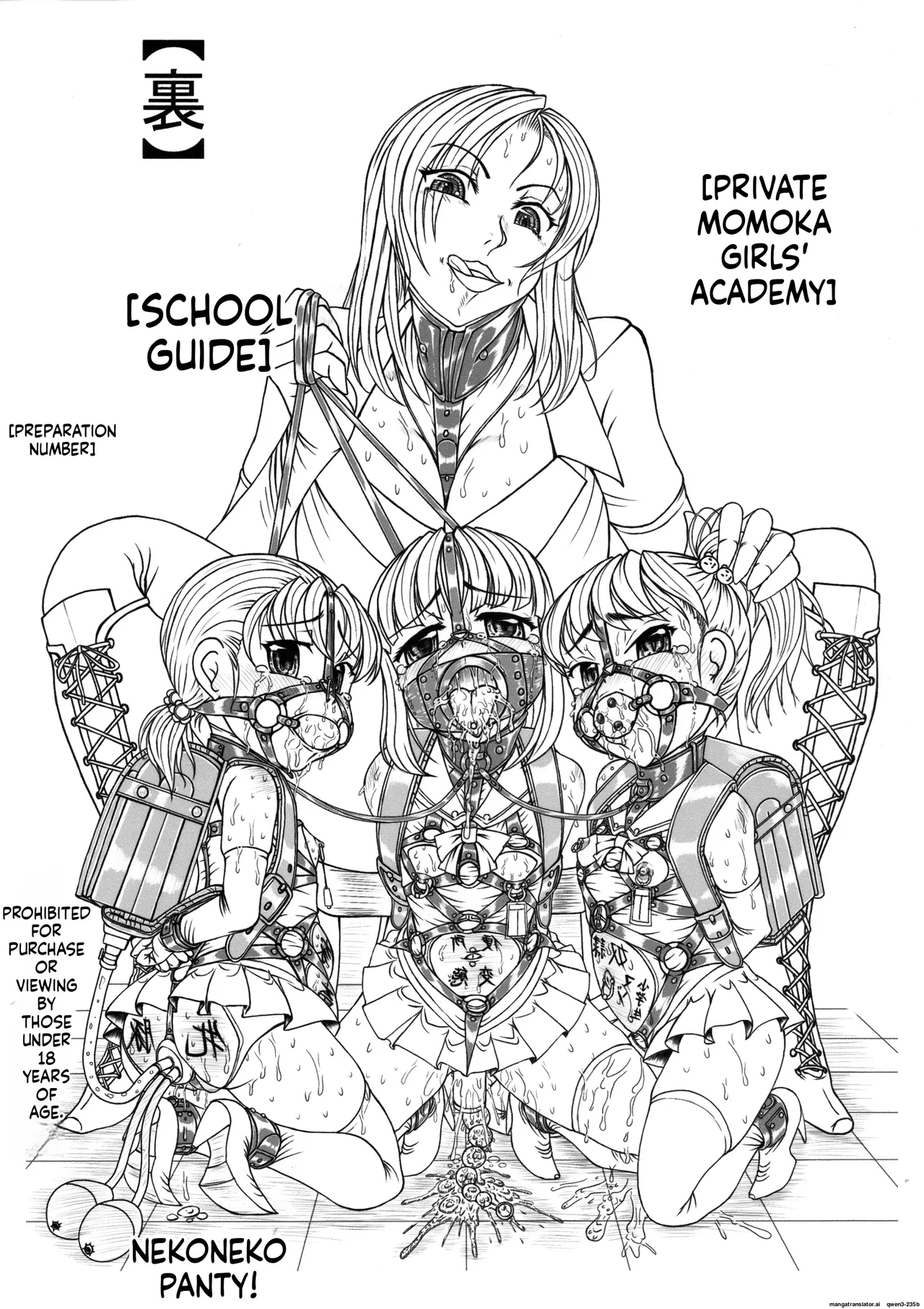 Private Momoka Girls' Academy: Behind-the-Scenes School Guide page 1 full