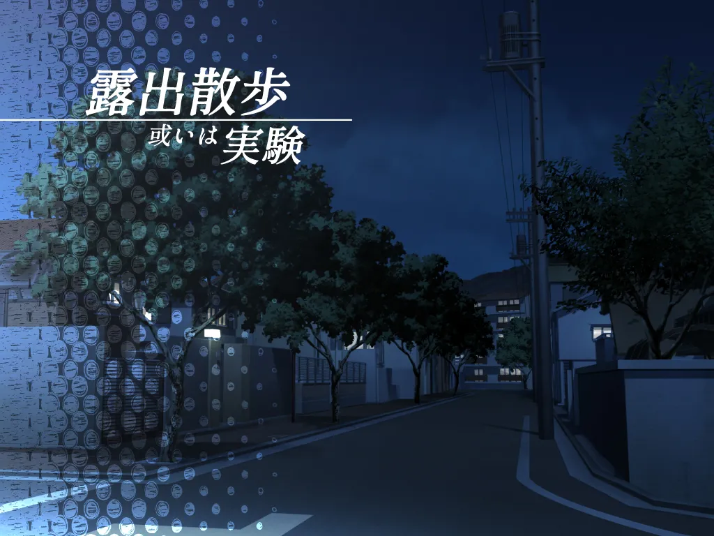露出散歩或いは実験 page 2 full