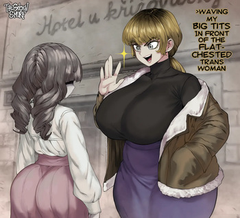 Funger Termina Ending D cover