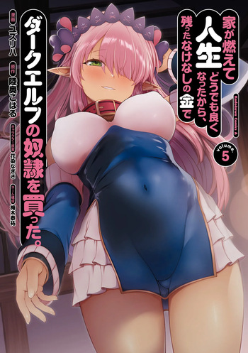 家が燃えて人生どうでも良くなったから、残ったなけなしの金でダークエルフの奴隷を買った。 第05巻 cover