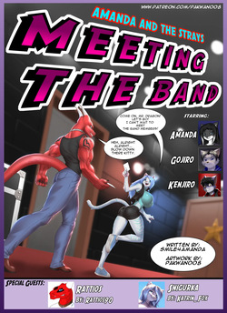 Amanda and the Strays: Meeting the Band