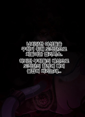 Elesis人格排泄 cover