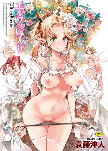 Elf no Yomeiri cover
