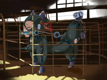 Shins LOL artist collection cover