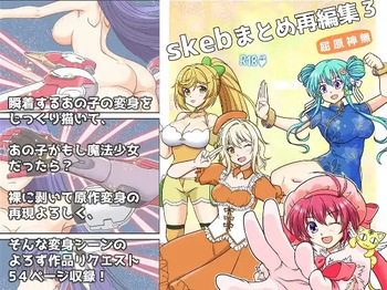 Skeb Matome Saihenshuu 3 cover