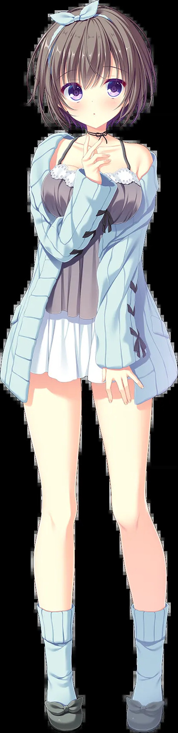 D.C.5 Sweet Happiness - Character Sprites cover