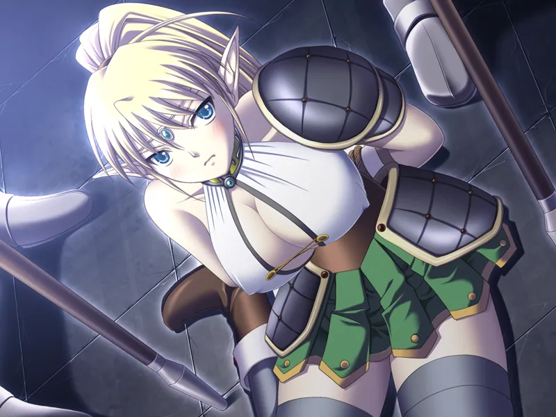 Elfin Rose ~Toraware no Sanoujo~ Campaign Tokuten DVD page 8 full