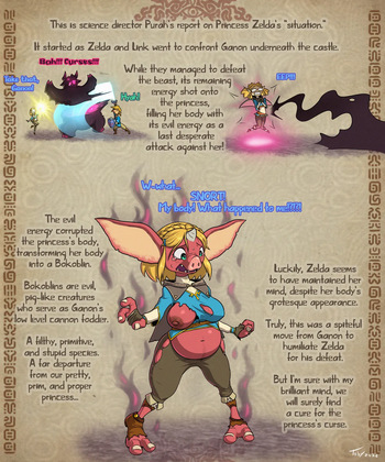 The Bokoblin Princess cover