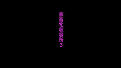 家畜牝収容所3