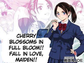 Cherry Blossoms in Full Bloom!! Fall in Love, Maiden!! cover