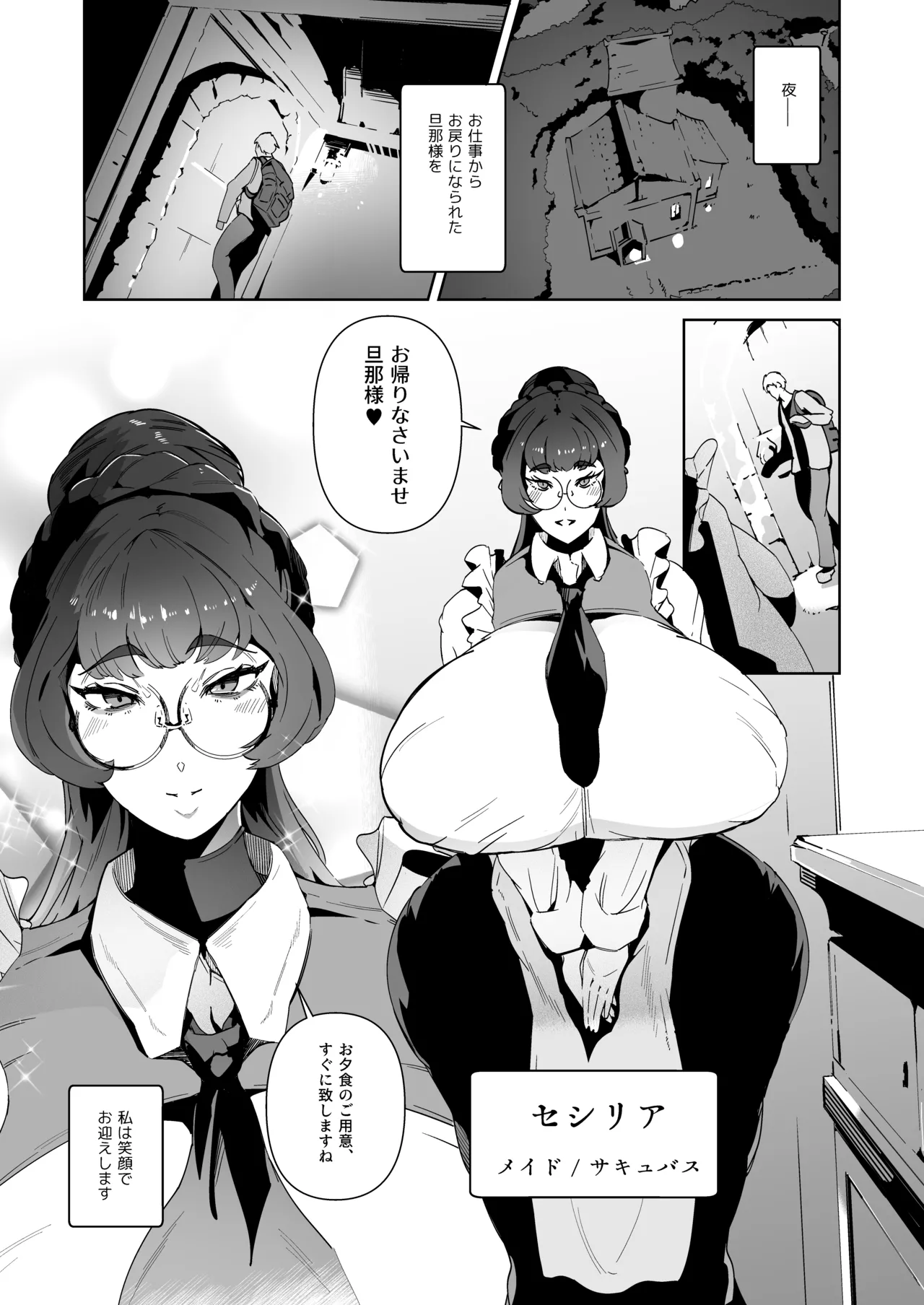 サキュバスメイドと過ごす夜 page 3 full