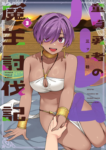 Doutei Yuusha no Harem Maou Toubatsuki Volume 3 cover