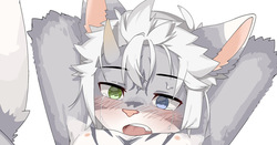 小动物tk