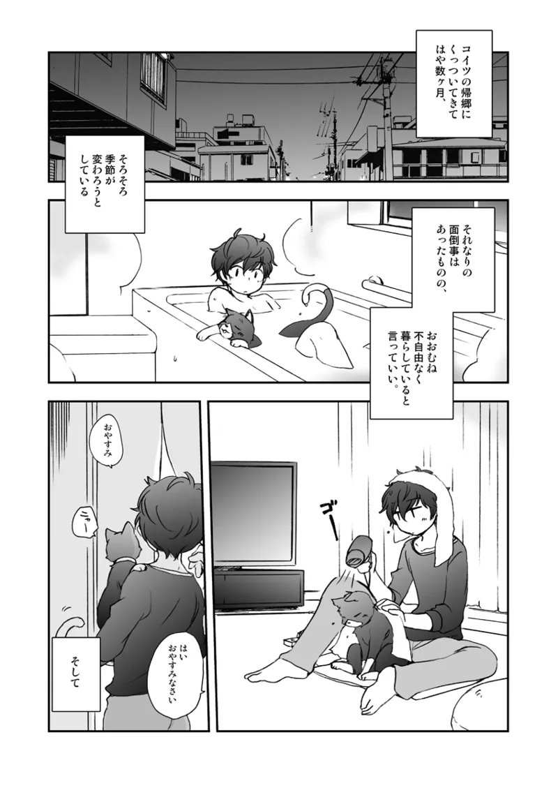 私の彼はハチワレソックス page 4 full