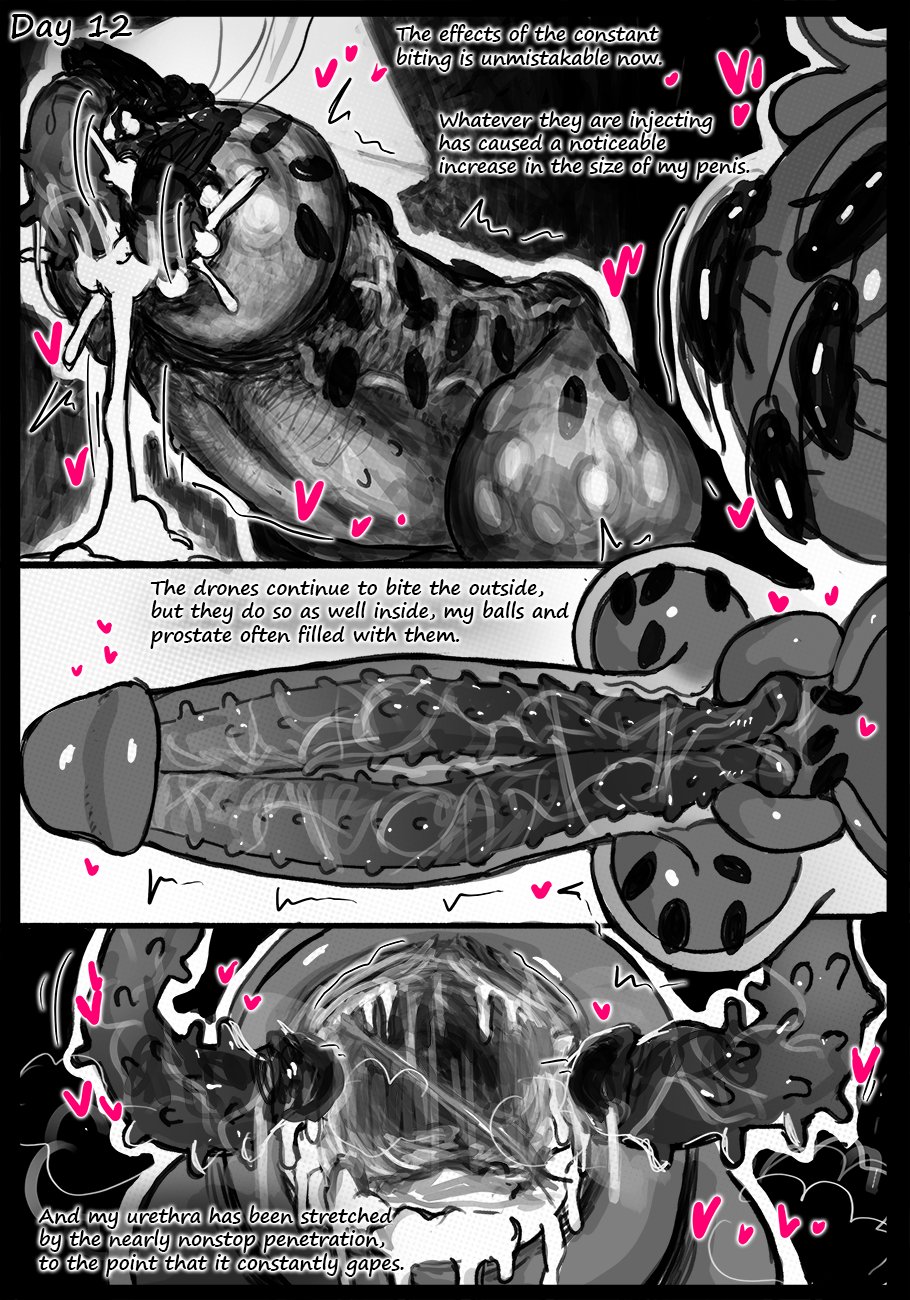 Observation Continues... page 8 full