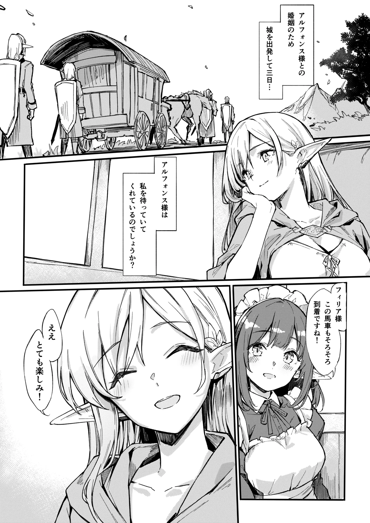 傭兵団がエルフの姫達を略奪してヤりたい放題ヤる話 page 3 full