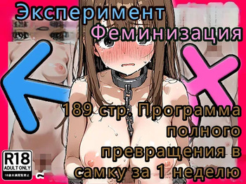 Feminization Experiment  — The 'Full Transformation into a Female Specimen in 1 Week' Program  Эксперимент по феминизации  — программа «Полное превращение в самку за 1 неделю» cover