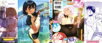 Kimi wa Seishunki - Dream in Adolescence cover