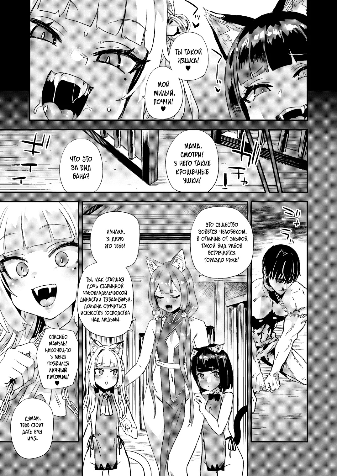 Nekozoku Musume wa Ningen o Kau. - CAT GIRLS KEEP A HUMAN | Членораб для Кошкодевочек page 4 full