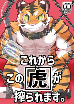 これからこの虎が搾られます。1-2