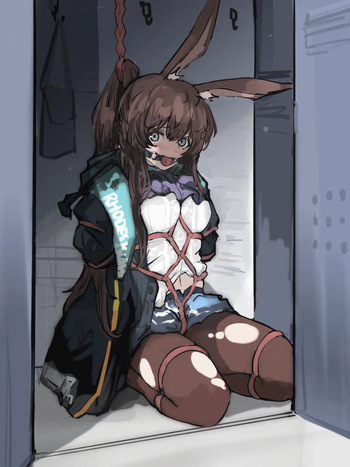 FHplss cover