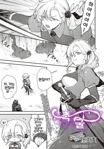 촉굴 cover