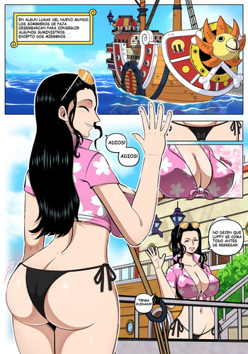 Robin x Zoro cover