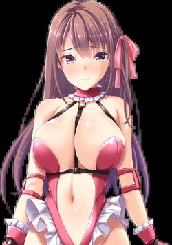 Toriko no Homura ~In'yoku no Honoo ni Michita Chika Tougijou~ Character Set