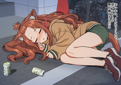 Aru Neko Rojou Inshu