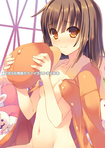TIES Bakemonogatari Color Illustration Compilation Book cover