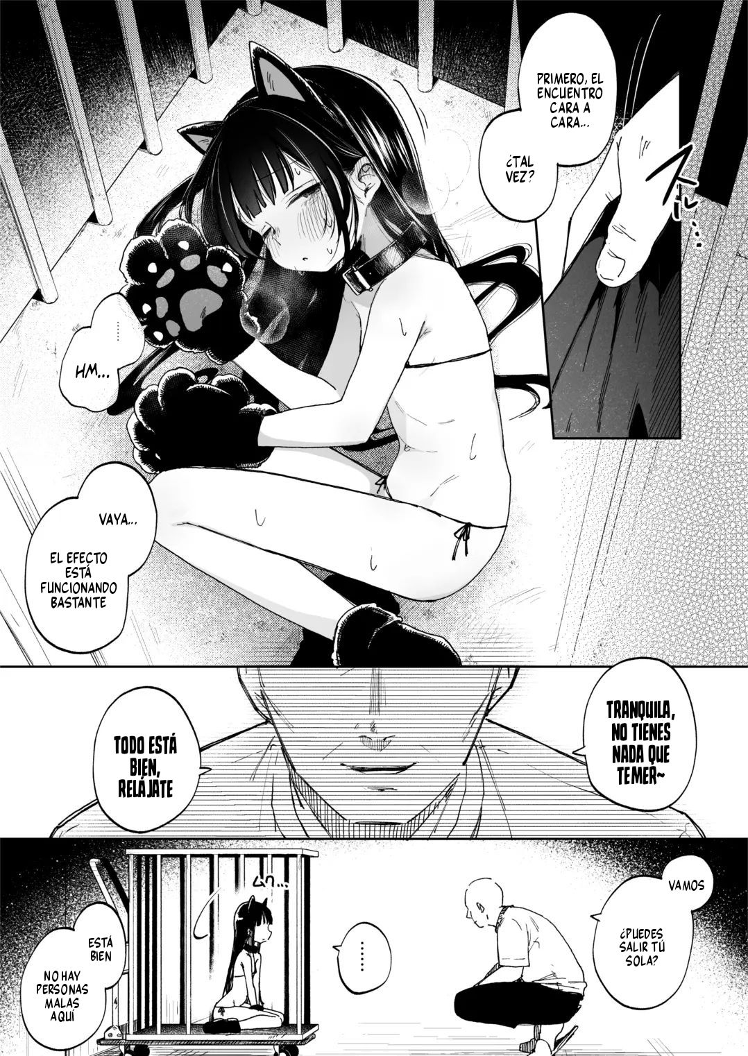 Chousei Kiroku Anata no Moto e Todoku made｜Registro de Preparacion Hasta que Llegue a Su Nuevo Amo page 5 full