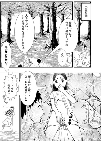 Ohanami cover