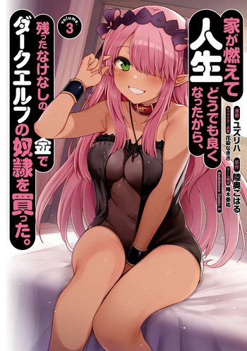 家が燃えて人生どうでも良くなったから、残ったなけなしの金でダークエルフの奴隷を買った。 第03巻 cover