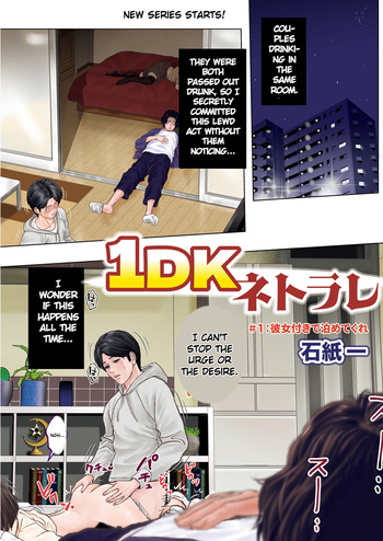 1DK Netorare cover