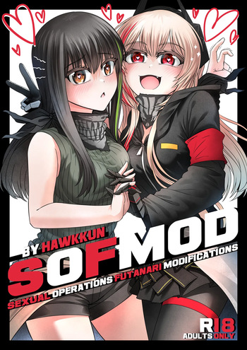SOFMOD 1 cover