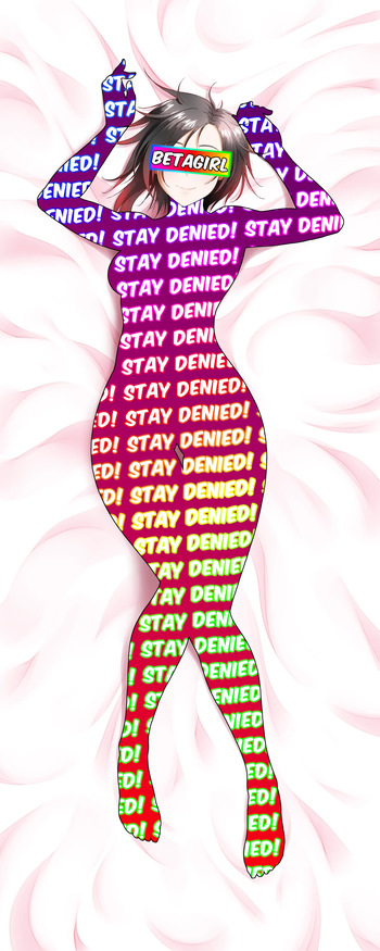 A little set of BetaSafe dakimakuras! Perfect for you prejac losers cover