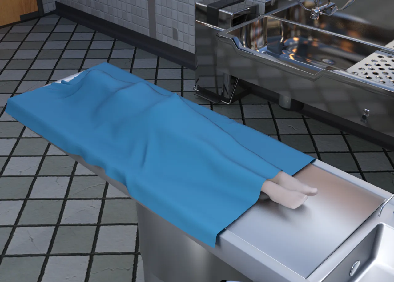 Morgue inspection page 2 full