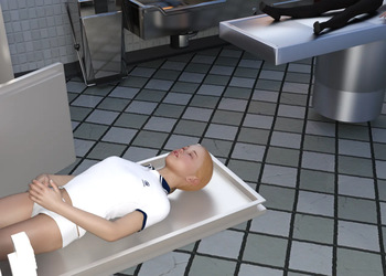 Morgue inspection cover
