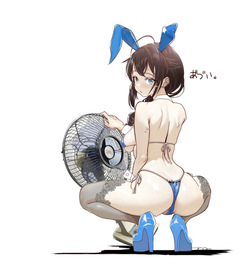 バニーの日